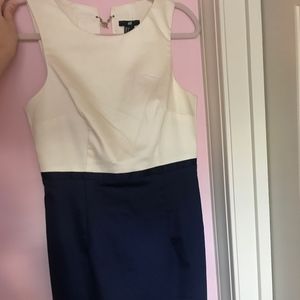 NWT H&M Navy and Cream Business Pencil Dress